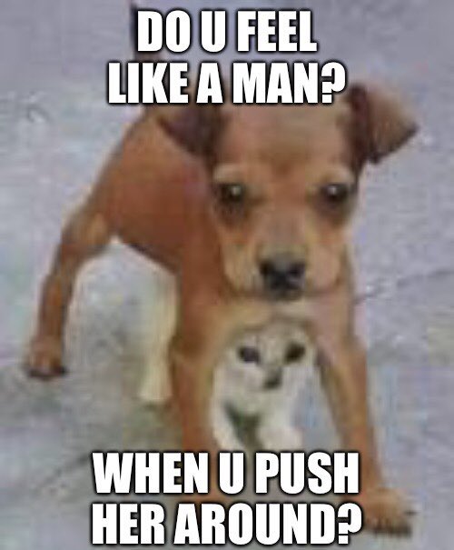 reactions tweet media