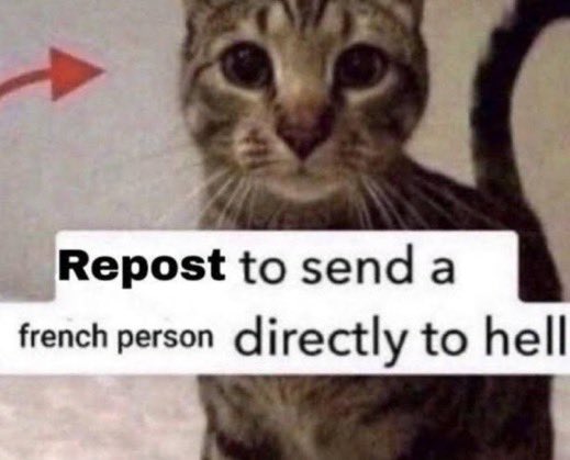reactjpg's tweet photo. brown tabby cat repost to send a french person directly to hell https://t.co/rYXs3stkHw
