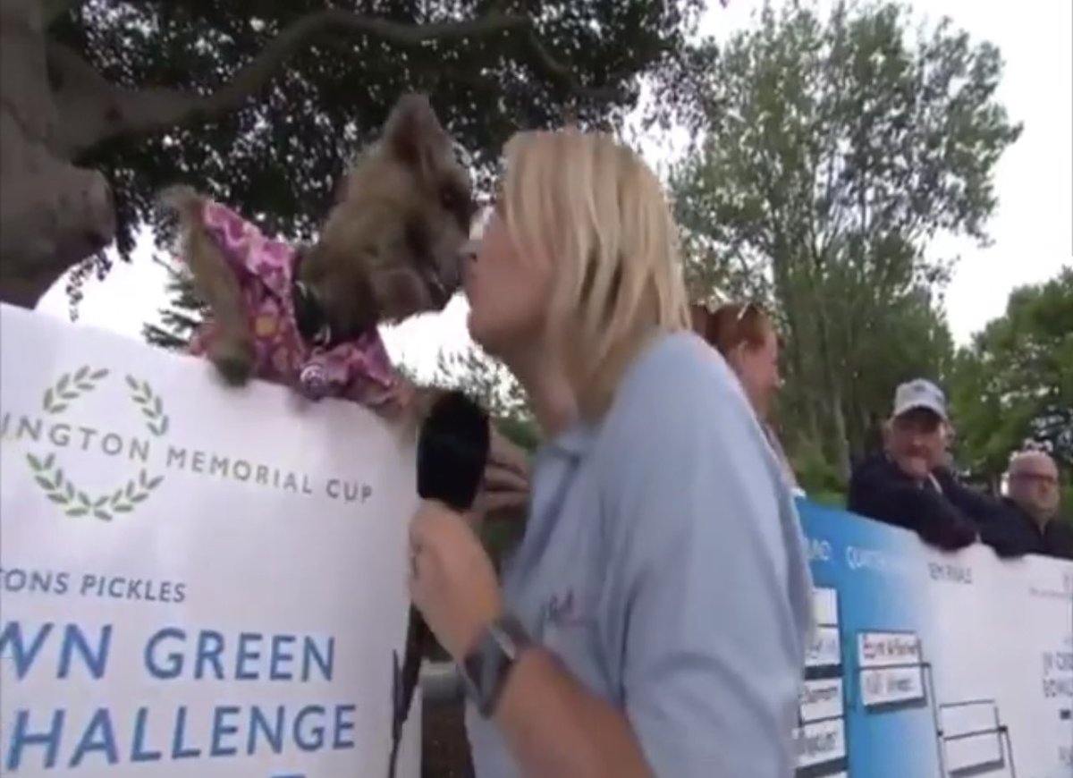 StevePrescott1's tweet image. *ANNOUNCEMENT*

Thanks to these great people @karlrooney @emmo99 @MissAMPowers @DaveHowarth1 and  @HackerTDog @MgbScaffolding if you cannot make @WicketStHelens on Sat for @bartonspickles @JohnnyVegasReal Bowls u can watch it *LIVE* on this link johnnyvegasbowls.com