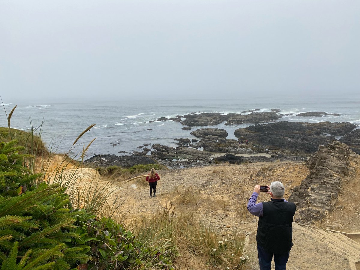 eleanor alger tweet media