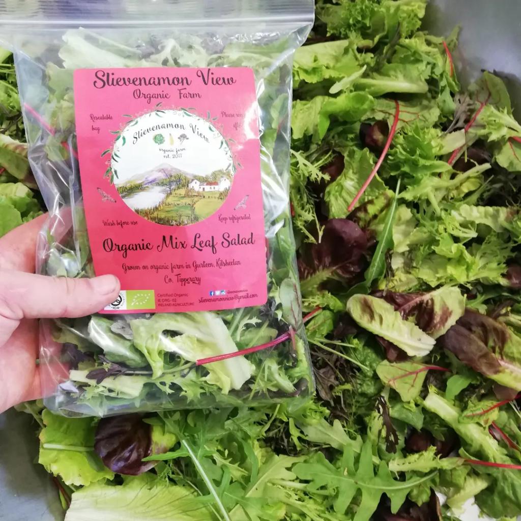 SlievenamonView's tweet photo. Delighted that our Organic Mix Leaf Salad   made it to the finals of The Irish Food Awards @blasnaheireann #blas2022 
It is a privilege to be listed amongst all those amazing businesses, we will see you all in September. Thank you to @blasnaheireann team and judges https://t.co/kMzay1n7ah