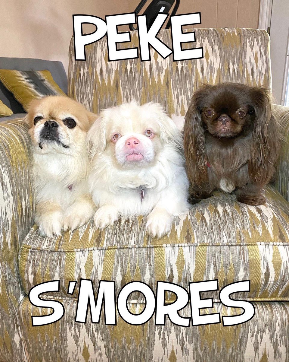 Hey <a href="/fmchocolate/">Fannie May Chocolates</a>, we love your S’Mores. How do like our version of S’Mores? #NationalSmoresDay