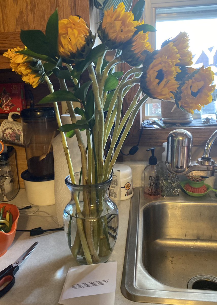rshafferELA's tweet photo. @Chewy is a class act company. After learning about the loss of my fur baby, Lucky Cat, they sent me these beautiful flowers. If you have a pet and don’t use Chewy-you should! #ClassAct https://t.co/u11mSWC8WX