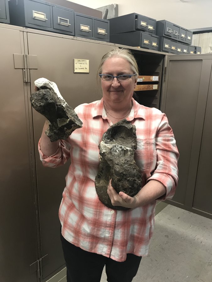 UCMP Vertebrate Paleontology Collections Manager Pat Holyroyd