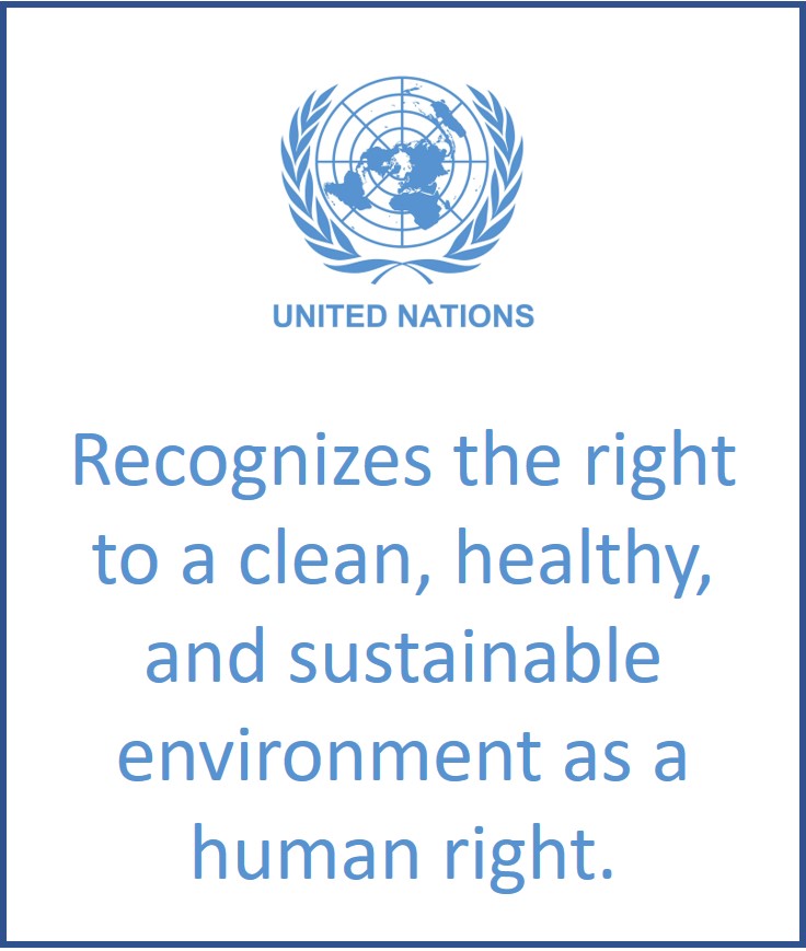 Cheer! Cheer! as the United Nations General Assembly adopts the resolution that recognizes the human right to a clean, healthy, and sustainable environment.