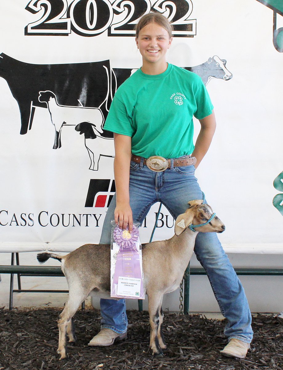 JournalHardin's tweet photo. Cass County 4-H students took part in the first show of this year's county fair this morning. Dawson Smith, Ben Willey and Lilly Bax earned awards in the dairy goat show. 4-H events will continue at the fairgrounds today through Saturday. https://t.co/N9GUwmv493