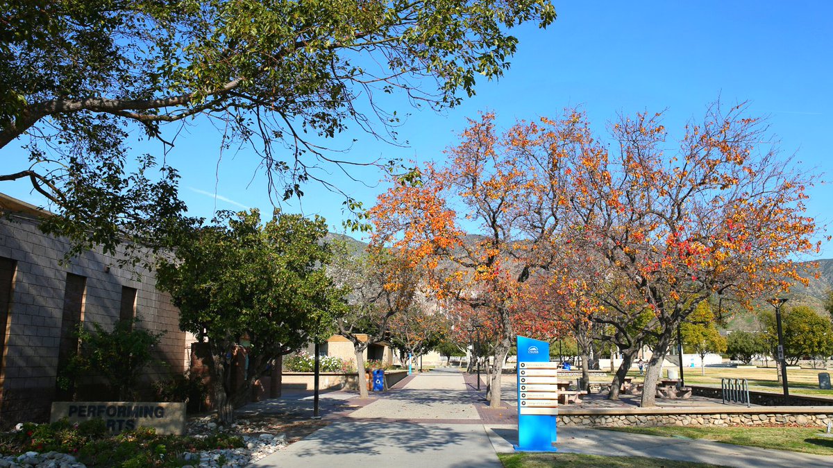 CSUSB_AG's tweet photo. It's #TheFirstDayofFall, Yotes! 🍂

What do you like about fall? 

Is it the weather? The cozy sweaters? The holidays? Let us know by commenting below! 

#CSUSB #fall #autumn https://t.co/3FMYGgMqqy