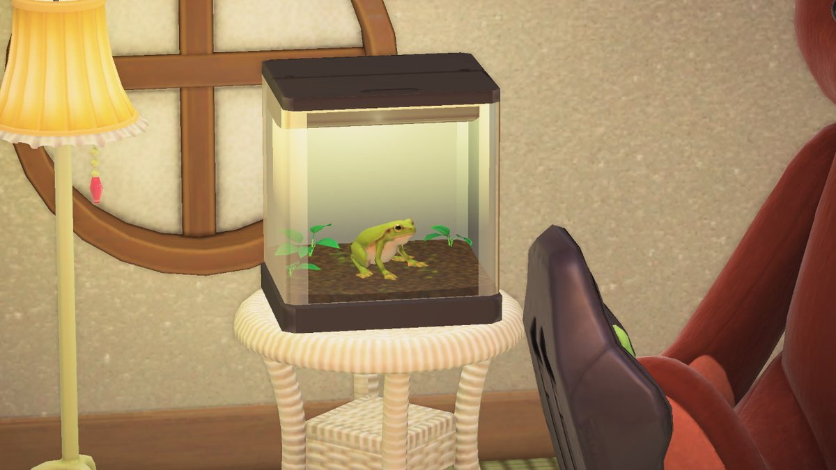 kalinacnh's tweet photo. prized frog <33 #AnimalCrossing #ACNH #NintendoSwitch #frog https://t.co/9YkmS2Oz3V