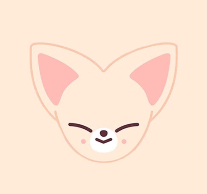 Dona_mg's tweet photo. Suppose to be a Dwaekki, but why looks like FoxI.Ny?? Anyways, I love it 🫶🏻 @Stray_Kids https://t.co/bBs04FmXmP