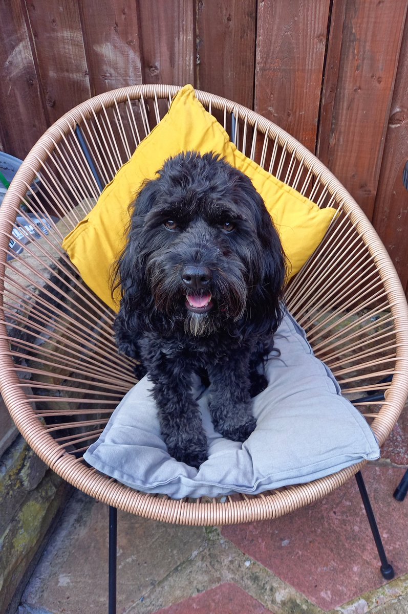 BpaHamish's tweet photo. Time to chill....#livingmybestlife https://t.co/YKbXJGSNO5