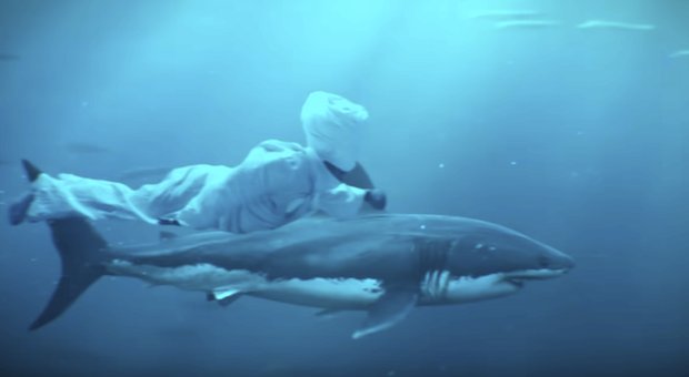 conglomerate1's tweet image. The Czar @BustaRhymes 
#ele2