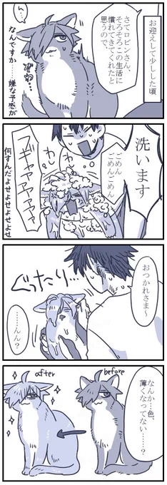 ネコチャン漫画
洗われたろびにゃんさん 
