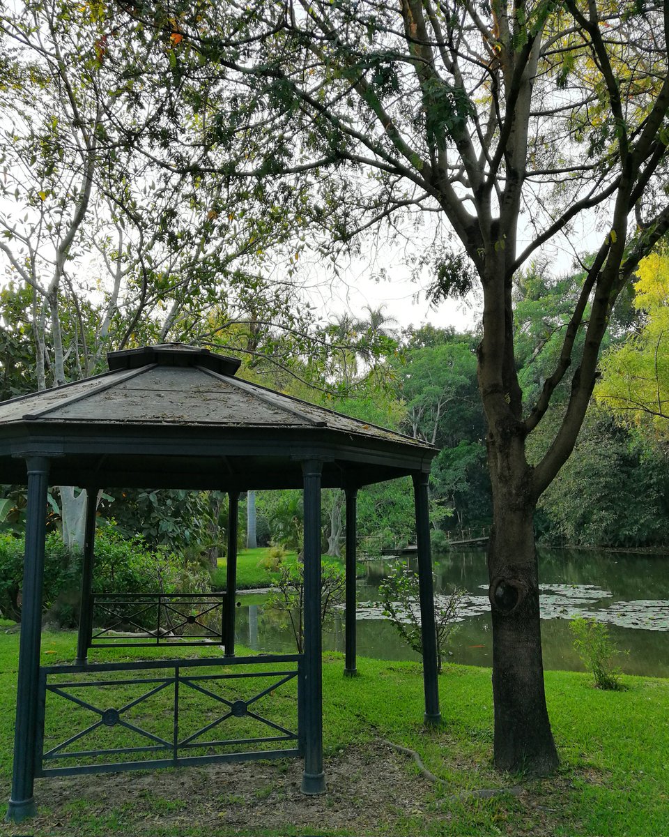 Si buscas #naturaleza y descanso este es tu lugar 👉 solounviajero.com/?p=795

#rio #lasestacas #estacas #morelos #viaje #viajes #viajar #disfrutando #belleza #verano