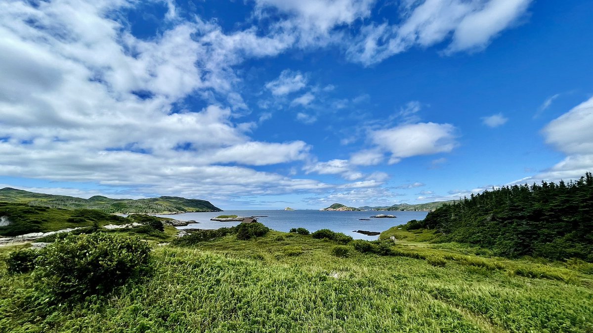 TheRealHCD's tweet photo. Good afternoon from 📍Deer Island, White Bear Bay! 🌤🌲🐝🌊🐟🌻🦅🌾☕️🦌✌🏻
#NLwx #NewfoundlandAndLabrador #ExploreNL #NewfoundlandCanada
@EddieSheerr @KelseyMcEwen @a_brauweiler @CBCWeather @weathernetwork https://t.co/PEDTzCAndg
