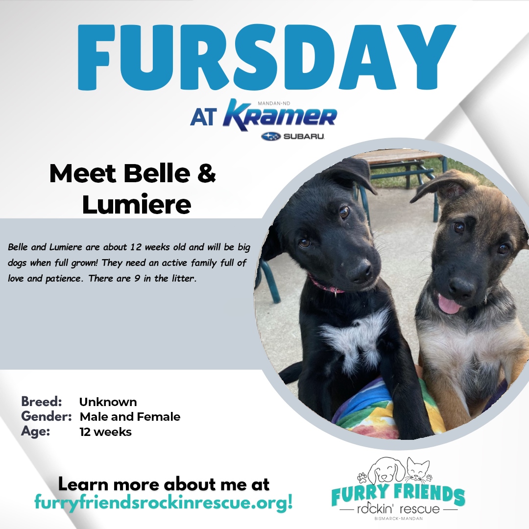 KramerAutomoti2's tweet image. 🐶 It's almost #FURsday! Get some puppy love on your Thursday, meet Belle and Lumiere at our sister location, #KramerSubaru! 

Come out and see us.
Take a look at our inventory or schedule your service appointment: 
🖥️ kramerchevrolet.com
#FurryFriends #KramerFamily #Fursday