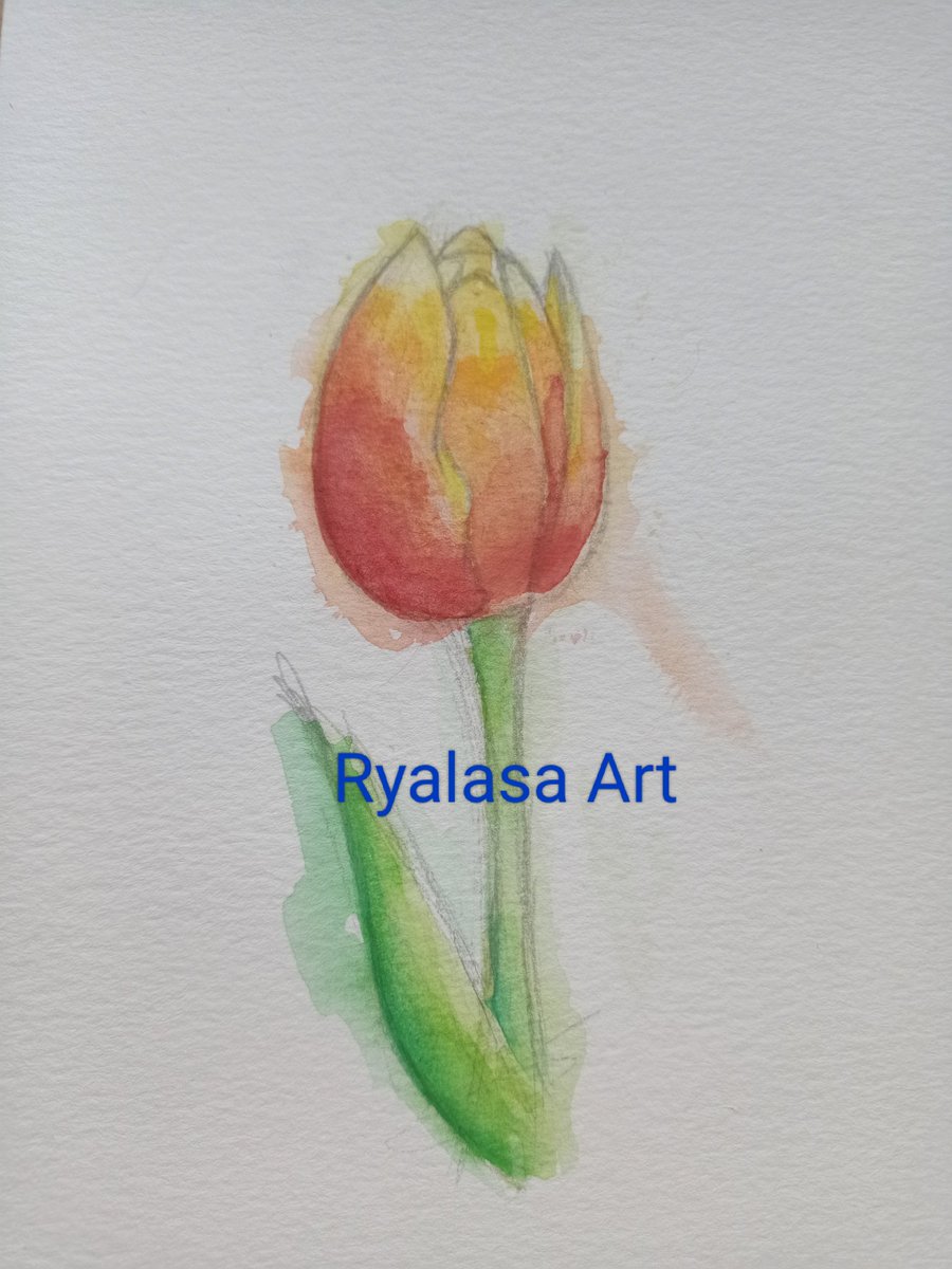 Ryalasa_art's tweet photo. Tulipán en acuarela.
10/VIII/2022

#arte #artistsontwitter #Waterworks https://t.co/VXO89NOqP4