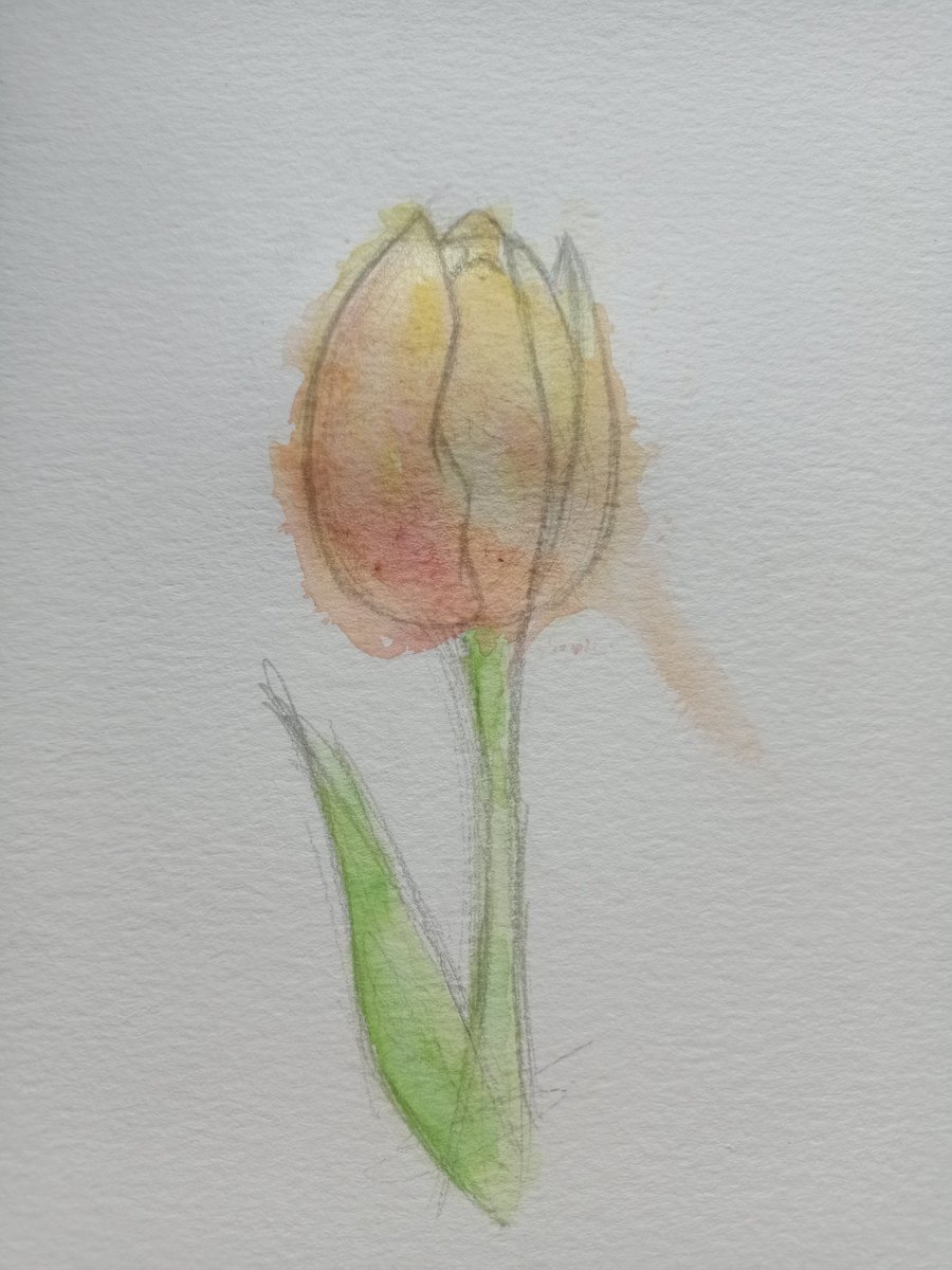 Ryalasa_art's tweet photo. Tulipán en acuarela.
10/VIII/2022

#arte #artistsontwitter #Waterworks https://t.co/VXO89NOqP4
