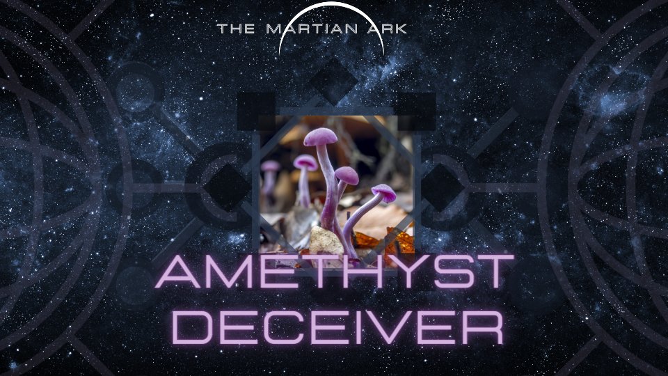 TRANSPORTER GHOSTLY FUNGI | AMETHYST DECEIVER | Laccaria Amethystina

#MarsColonization #Fungi #Laccaria

ENTER THE ARK ➡️ youtube.com/watch?v=4CAYES…
