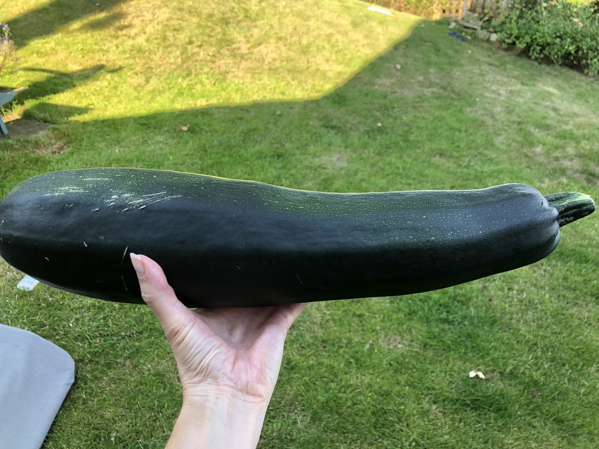 Nicola Lever (@lever_nicola) on Twitter photo My friend <a href="/jueypea/">Julie Pearson</a> gave me a courgette from her allotment today! Any suggestions for tasty recipes gladly accepted! Does this count towards #AHPsActive ? 😁 My friend <a href="/jueypea/">Julie Pearson</a> gave me a courgette from her allotment today! Any suggestions for tasty recipes gladly accepted! Does this count towards #AHPsActive ? 😁