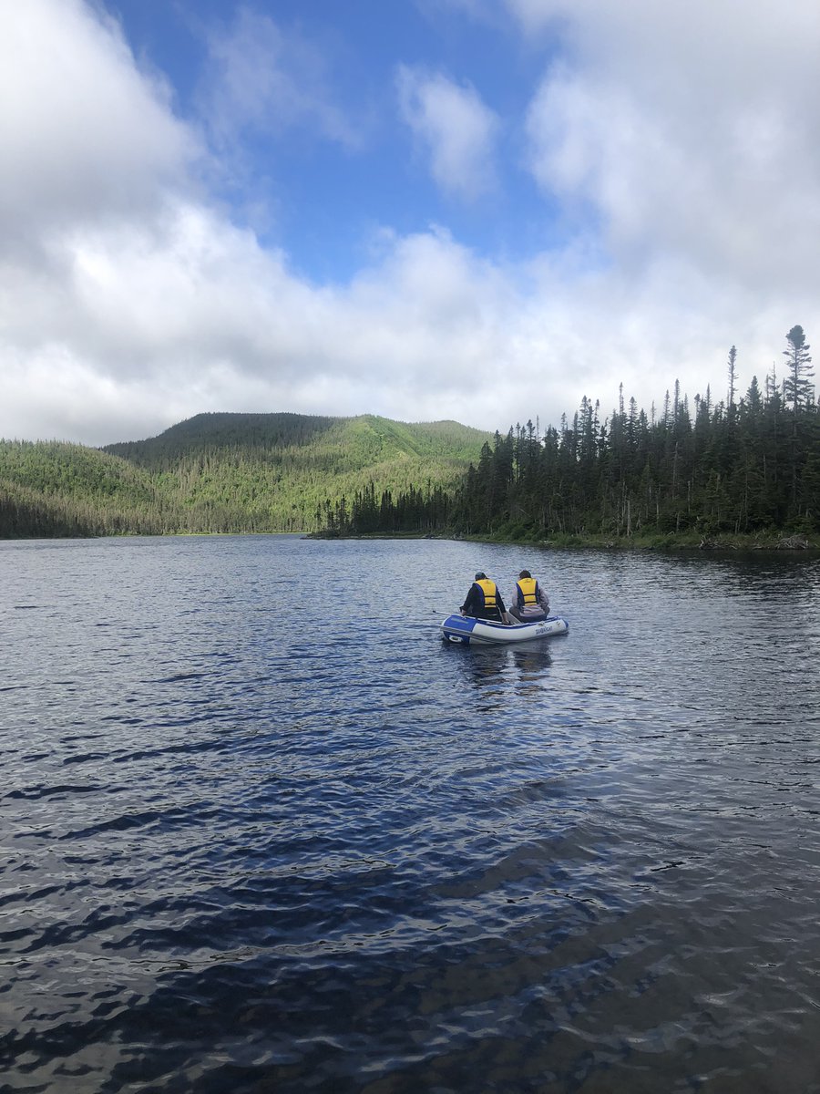 CRÉA_CC tweet media