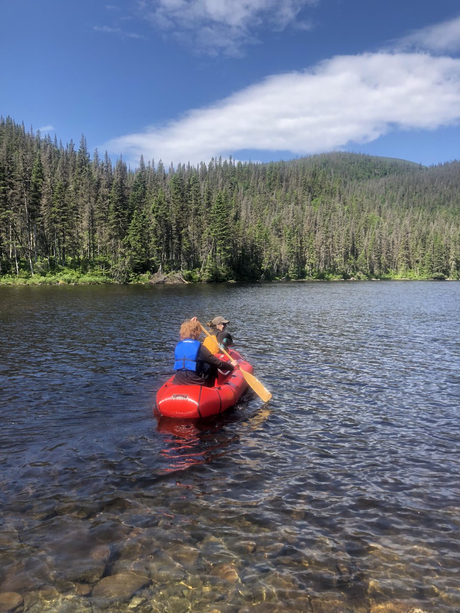 CRÉA_CC tweet media