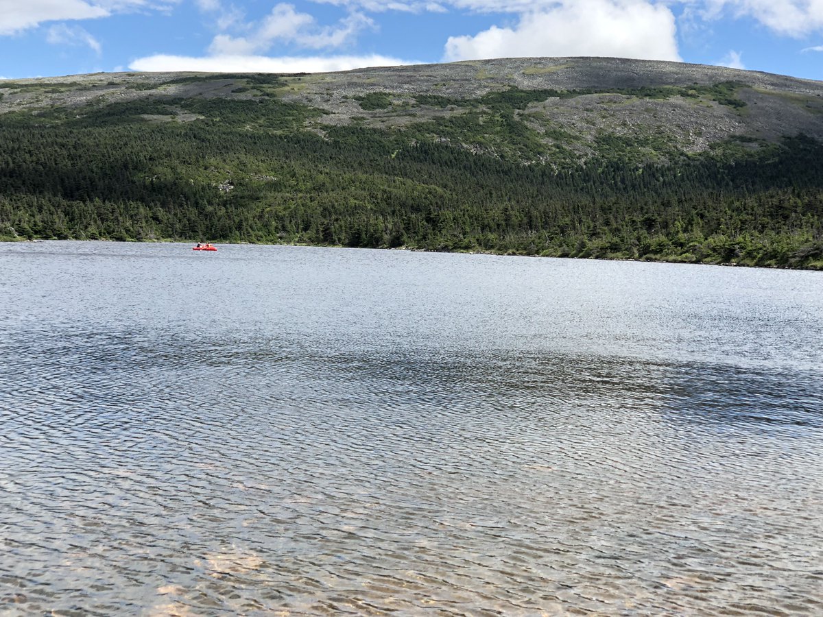 This summer, we sampled 26 lakes. Some lakes were accessible by car, some lakes were accessible by six wheelers, and some lakes were accessible only by foot (hiking and bush walking)! Nothing stopped our amazing team: we used a mix of packrafts, an inflatable zodiac, and a boat!