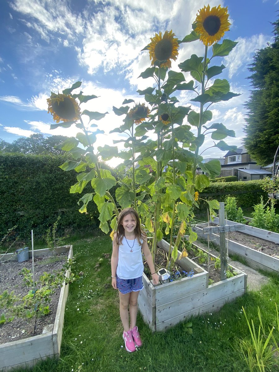 Andrew Dobbin tweet media