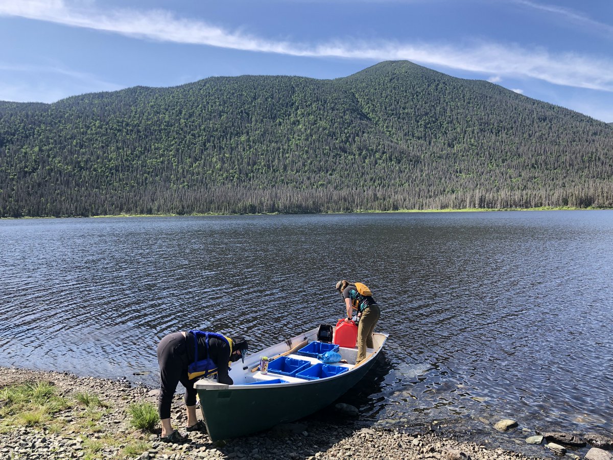 CRÉA_CC tweet media