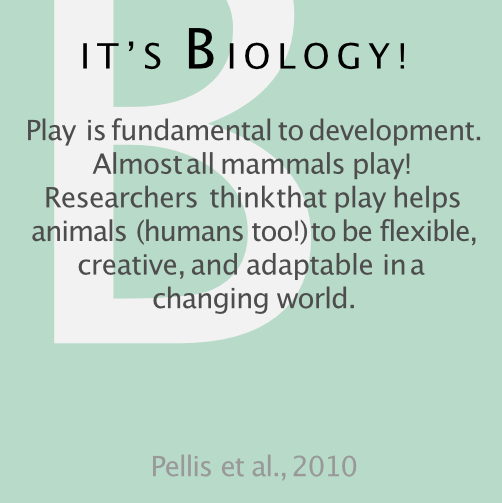 UW_ILABS's tweet photo. Almost all mammals play because play is fundamental to development. #ILABS #ResearchQuotes #Education https://t.co/VUk180AhNR