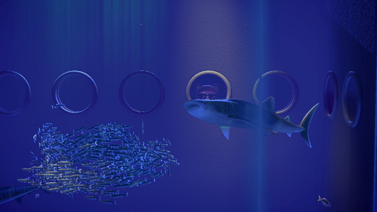 kalinacnh's tweet photo. sheeesh #whaleshark #aquarium #AnimalCrossing #ACNH #NintendoSwitch https://t.co/hXnY3yNIcF