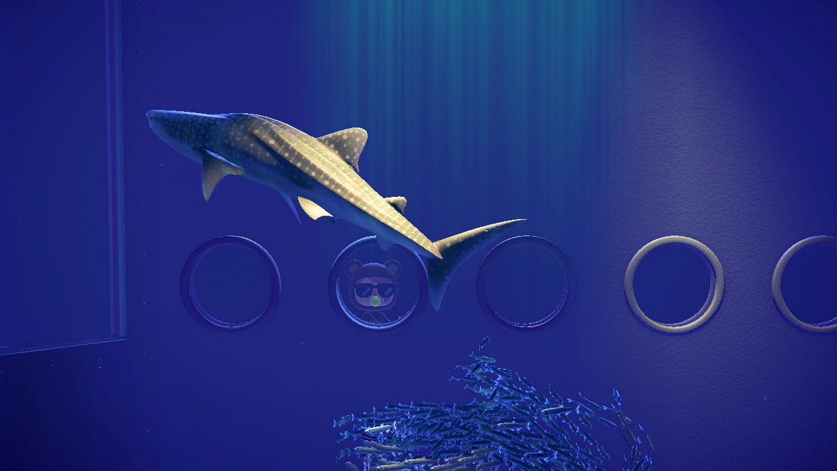 kalinacnh's tweet photo. sheeesh #whaleshark #aquarium #AnimalCrossing #ACNH #NintendoSwitch https://t.co/hXnY3yNIcF