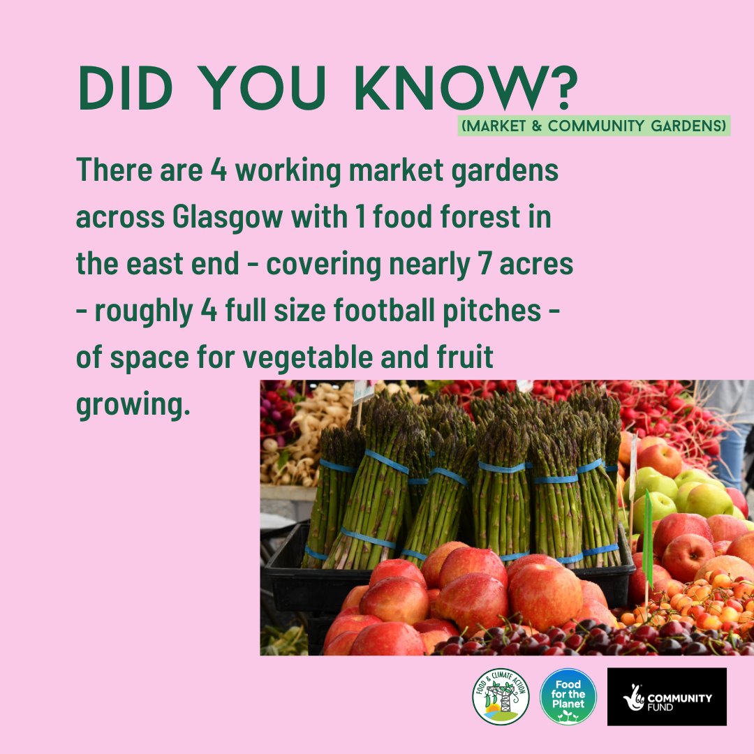 GCFNetwork's tweet photo. Last week, we shared some facts about allotments in GLA for our #DemandForLand campaign. This week we're looking at Community & Market Gardens.
17 acres of community growing spaces & 7 acres or market gardens. Want more!? Comment below 👇
Read more: https://t.co/q4Pv1c2LP3 https://t.co/Ajn5dRf8LX