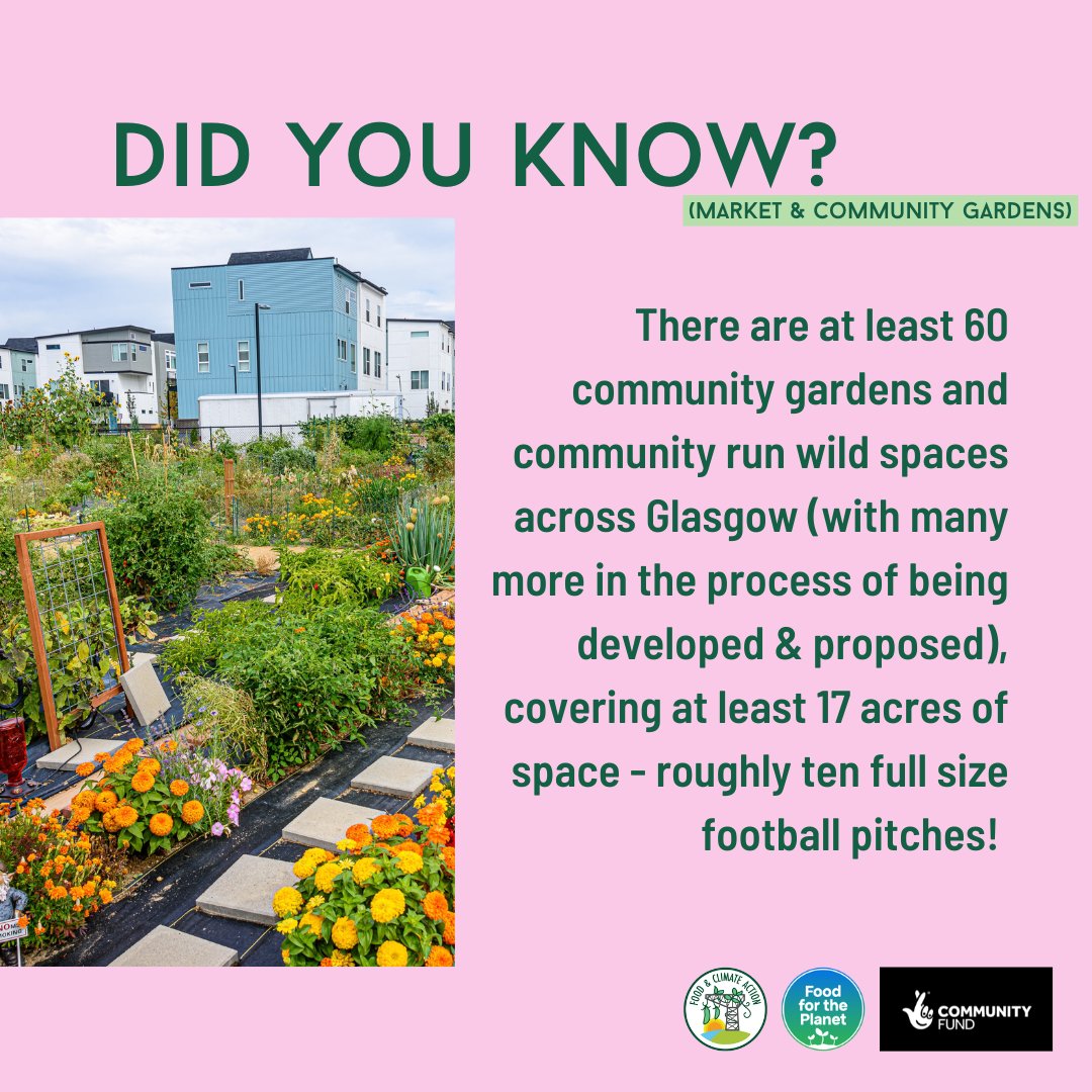 GCFNetwork's tweet photo. Last week, we shared some facts about allotments in GLA for our #DemandForLand campaign. This week we're looking at Community & Market Gardens.
17 acres of community growing spaces & 7 acres or market gardens. Want more!? Comment below 👇
Read more: https://t.co/q4Pv1c2LP3 https://t.co/Ajn5dRf8LX