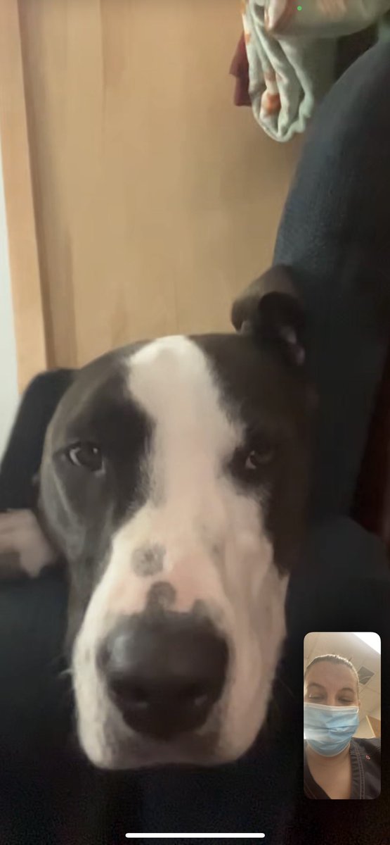 Chaos in Kind tweet media