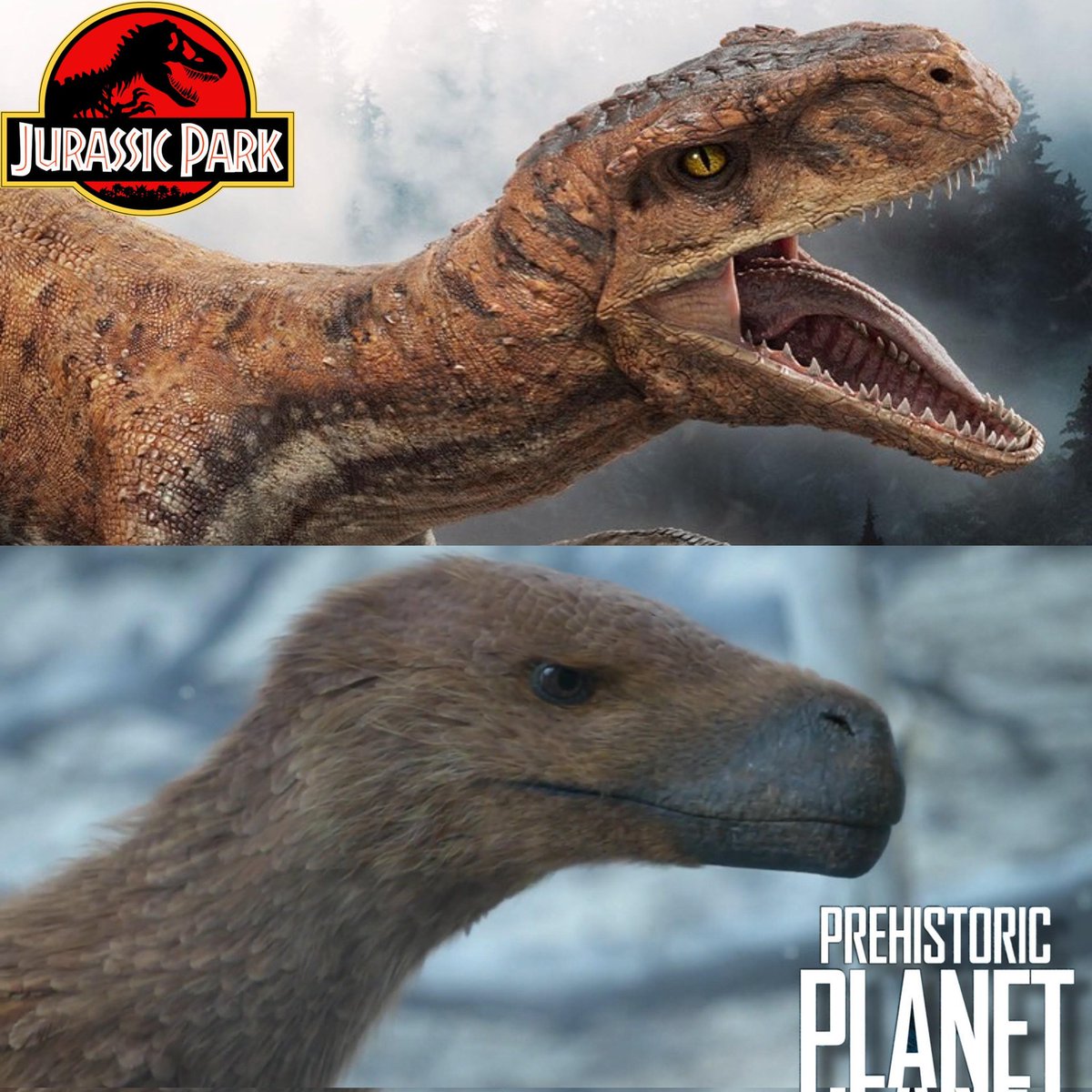 prehistoric planet me revelou que o velociraptor está mais visualmente próximo de uma capivara do que de uma lagartixa