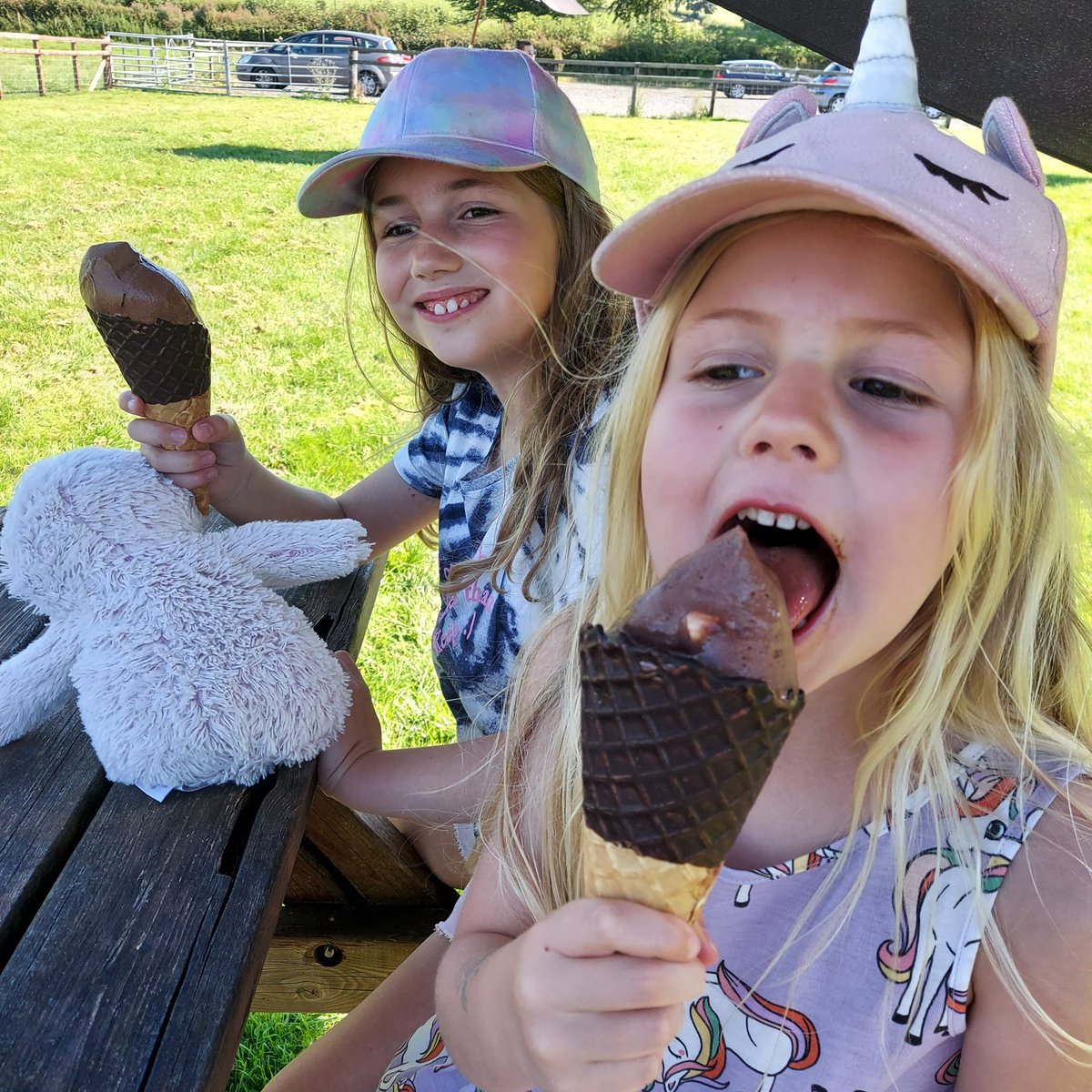 Cooling off after work with delicious jersey ice cream @ Abbott Lodge, near Penrith #jerseyicecream #abbottlodge #heatwave