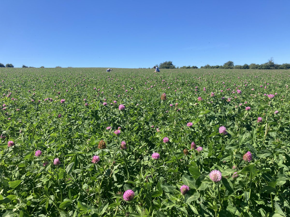 Not a bad view from the office today <a href="/Germinal_Ire/">Germinal Ireland</a> <a href="/colindgraigue/">Colin Doherty</a> 🍀 🕶🔆 out in the sun all day! <a href="/wearegerminal/">Germinal</a>