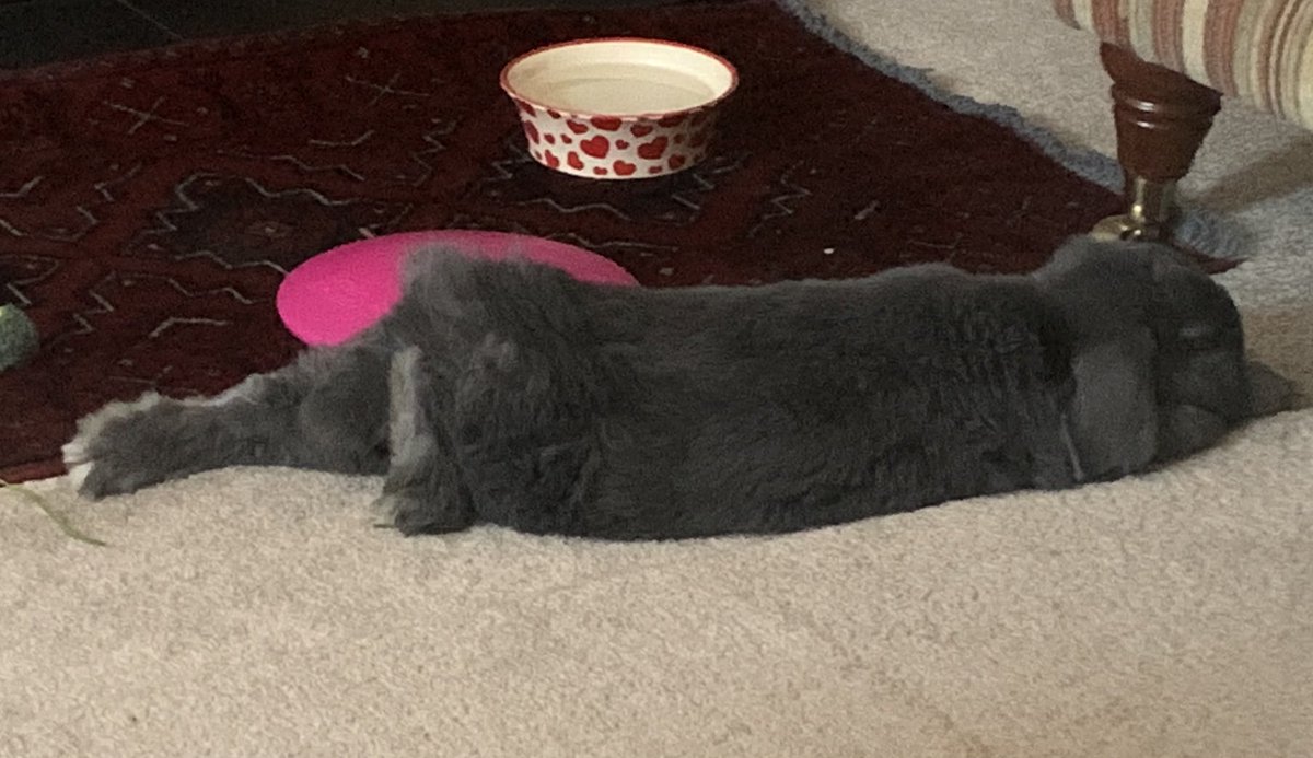 Working on a new pose.