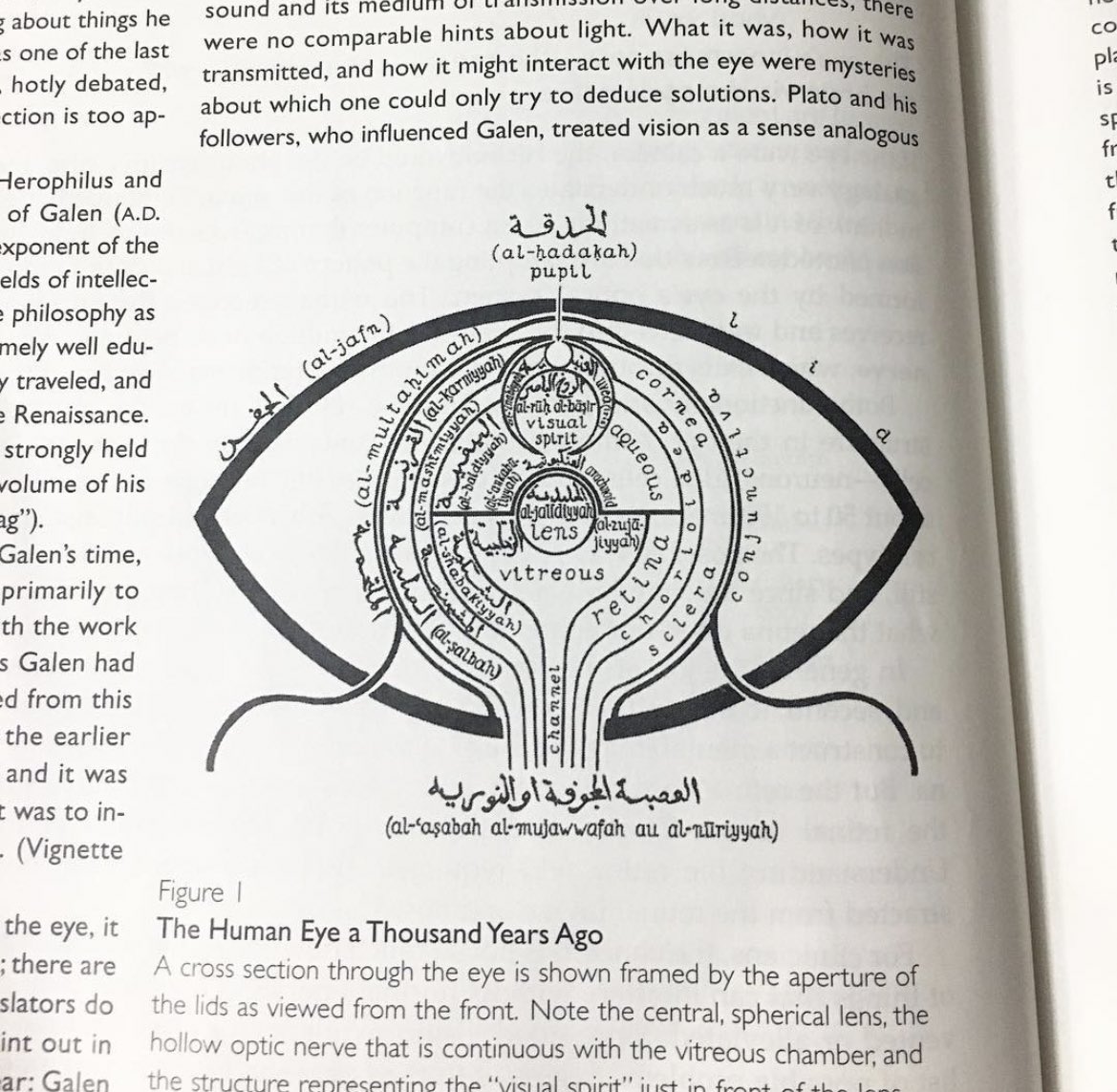 سارا tweet media