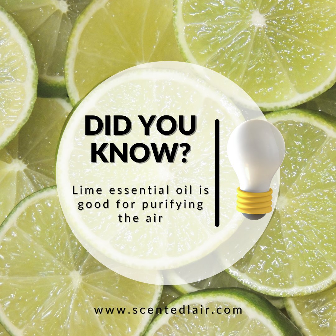 DID YOU KNOW....

.

.

.

#thescentedlair #smellthis #hearthis #feelthis #tastethis #downtownbrampton