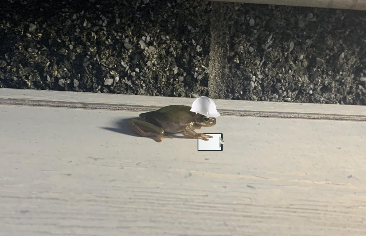 NWSAtlanta's tweet photo. Had a surprise inspection at the balloon🎈 launch site today by one of the local officials. Everything seemed to be in order, although I may or may not have bribed the inspector with a bug or two. #localfauna #inspectorfrog #Sheilathefrog 🐸 https://t.co/bCnEHNewMG