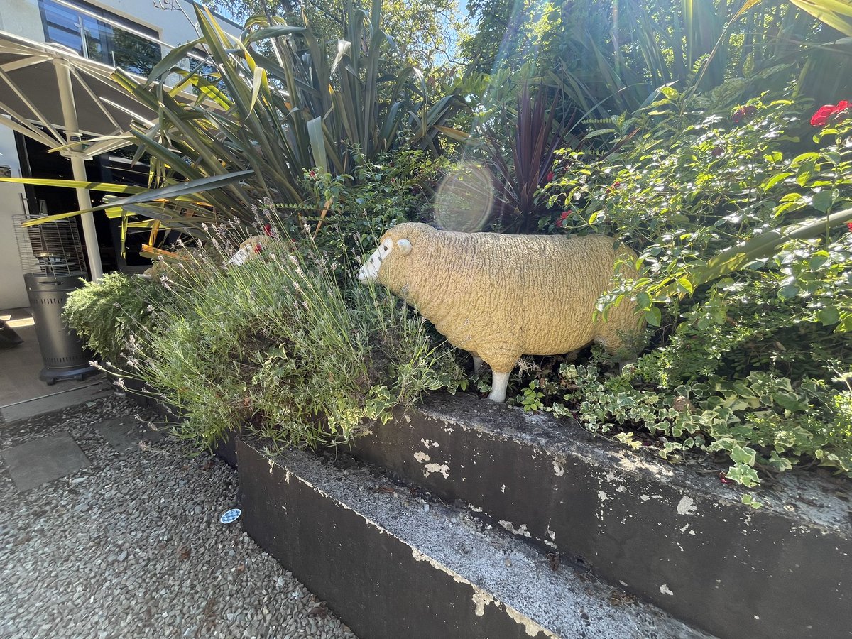 Spikemccormick's tweet image. Some porn to excite the troops in the Curragh, sheep 🐑 shite 💩 &amp;amp; soldiers 🪖#OnlyThoseWhoServedUnderstand its a joke. Load of baa lox their pay &amp;amp; conditions haven’t been sorted despite #CODF FFFG &amp;amp; GP giving fingers 🖕to them, #GE 🗳 will decimate them, payback time for troops