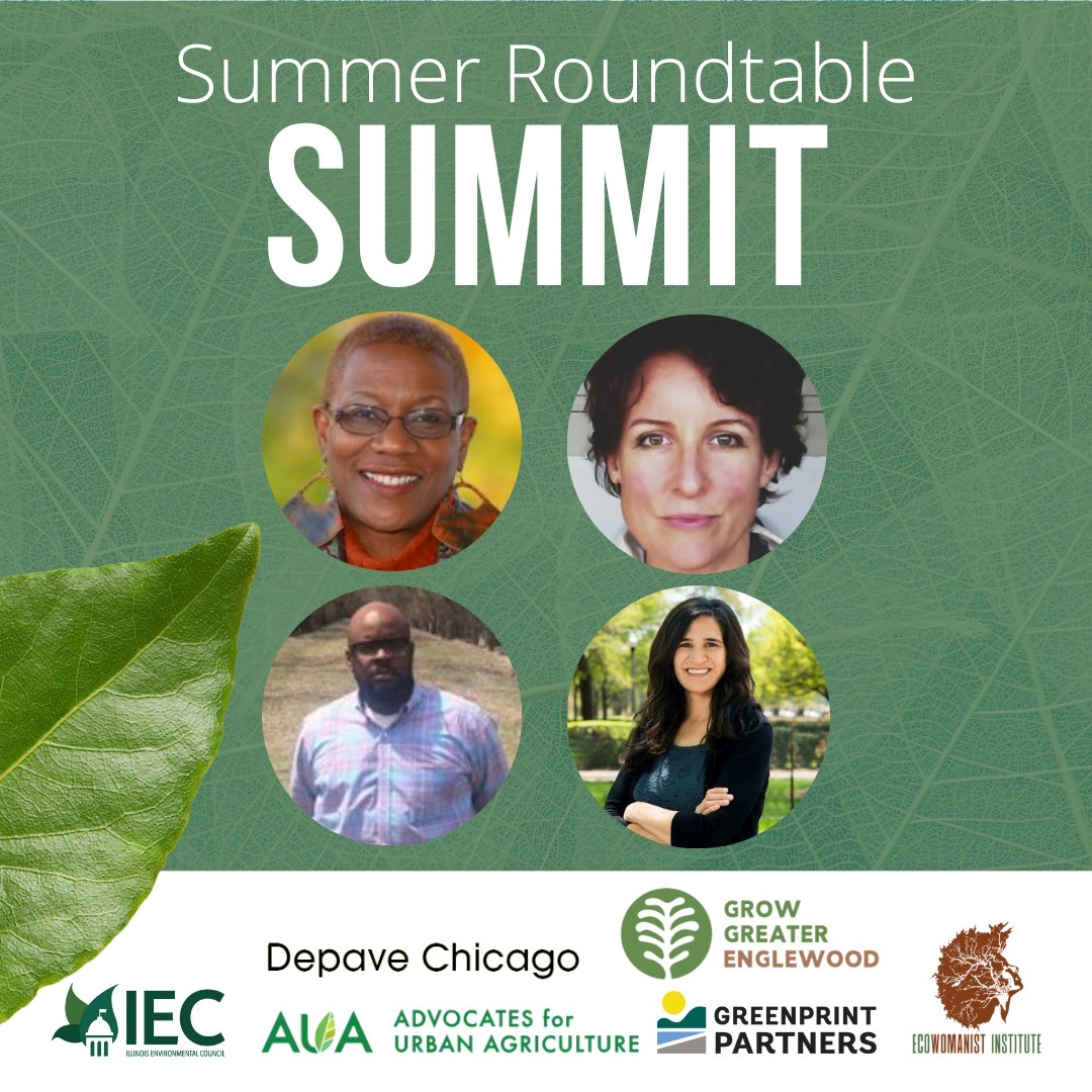 Ecowomanist Institute tweet media