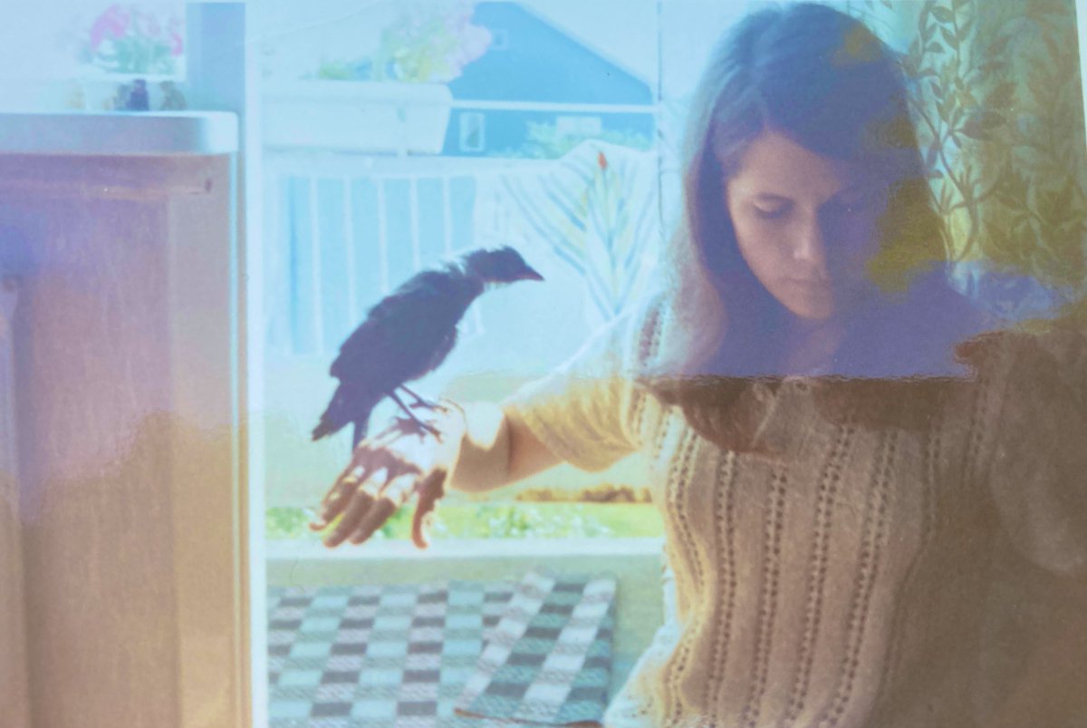 lodjur_i's tweet image. Du är fri