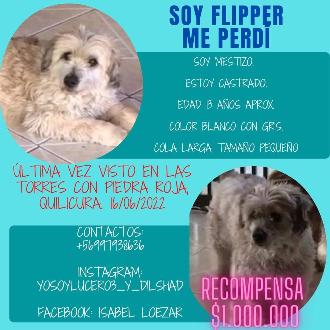 dv_vilma's tweet photo. @Evelyn_Torres_h Me ayudan a buscar a  éste viejito perdido también, un retwitter por favor 🙏 https://t.co/KbAODg4yQG