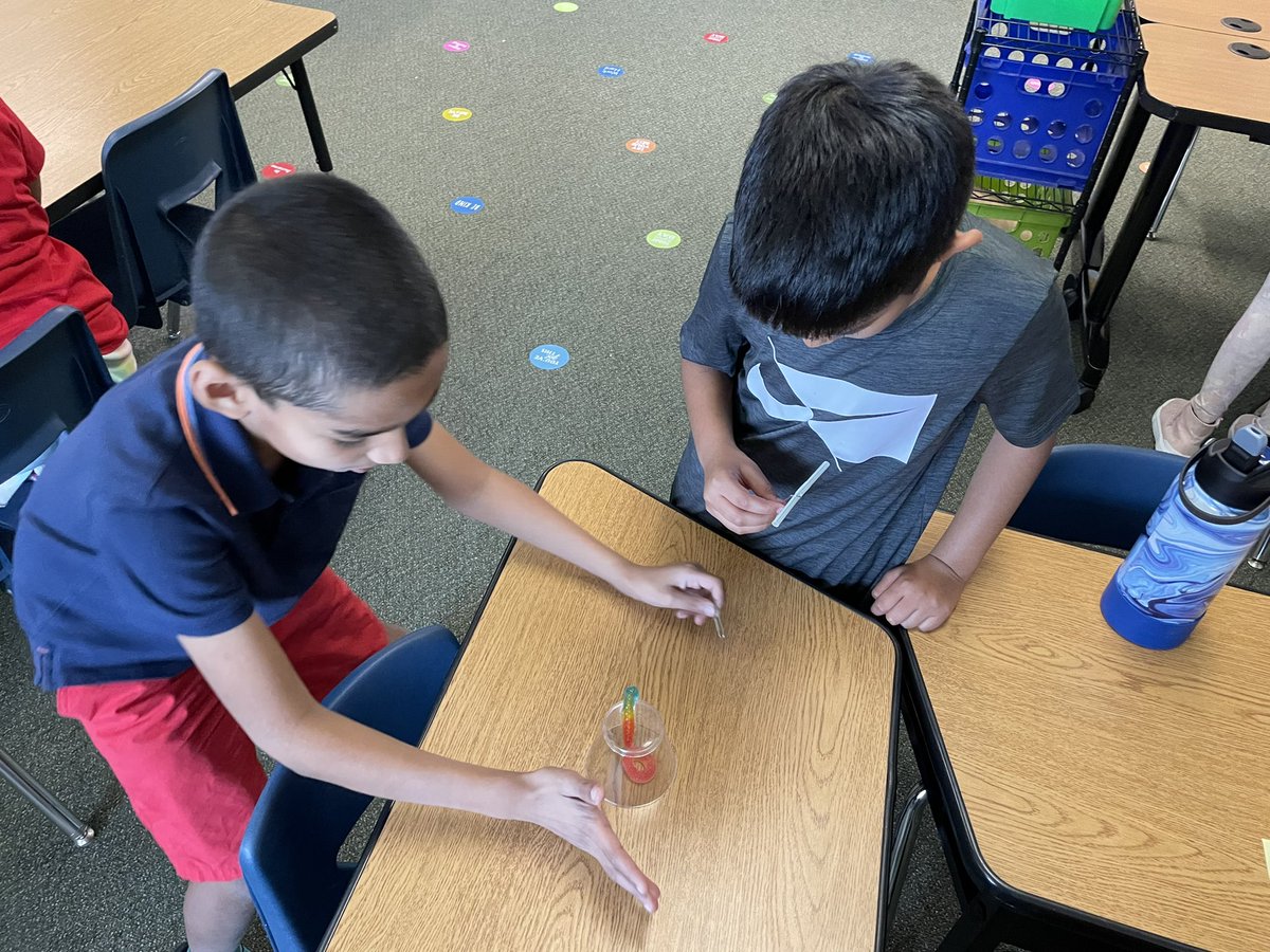 Nicki_Fig's tweet photo. First day back to school and working on a team building activity. Their mission - save Fred the worm! #McspeddenES https://t.co/Kq0kwvxHQx