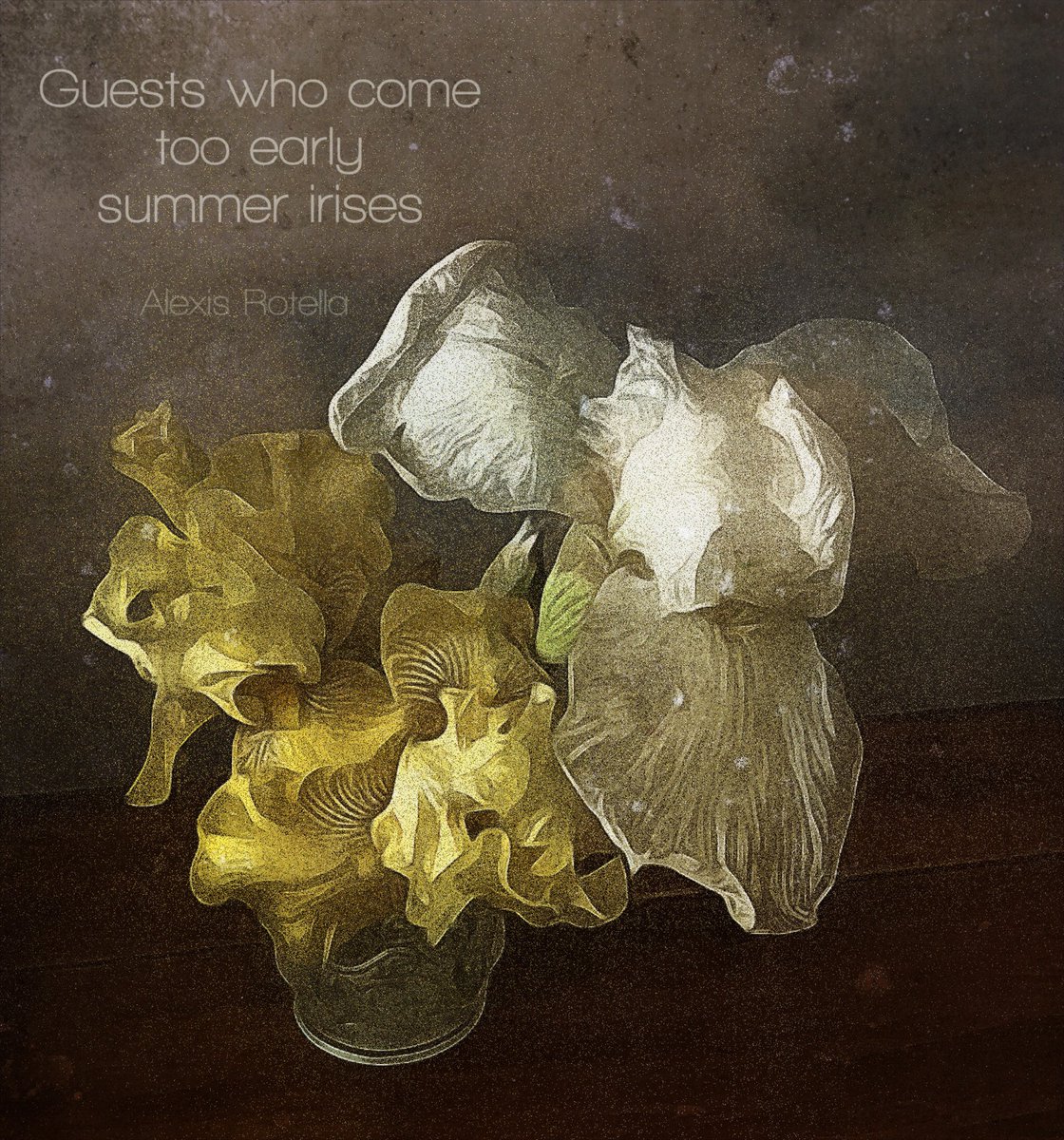 Summer Irises #haiku #haiga #micropoetry #ClimateCrisis