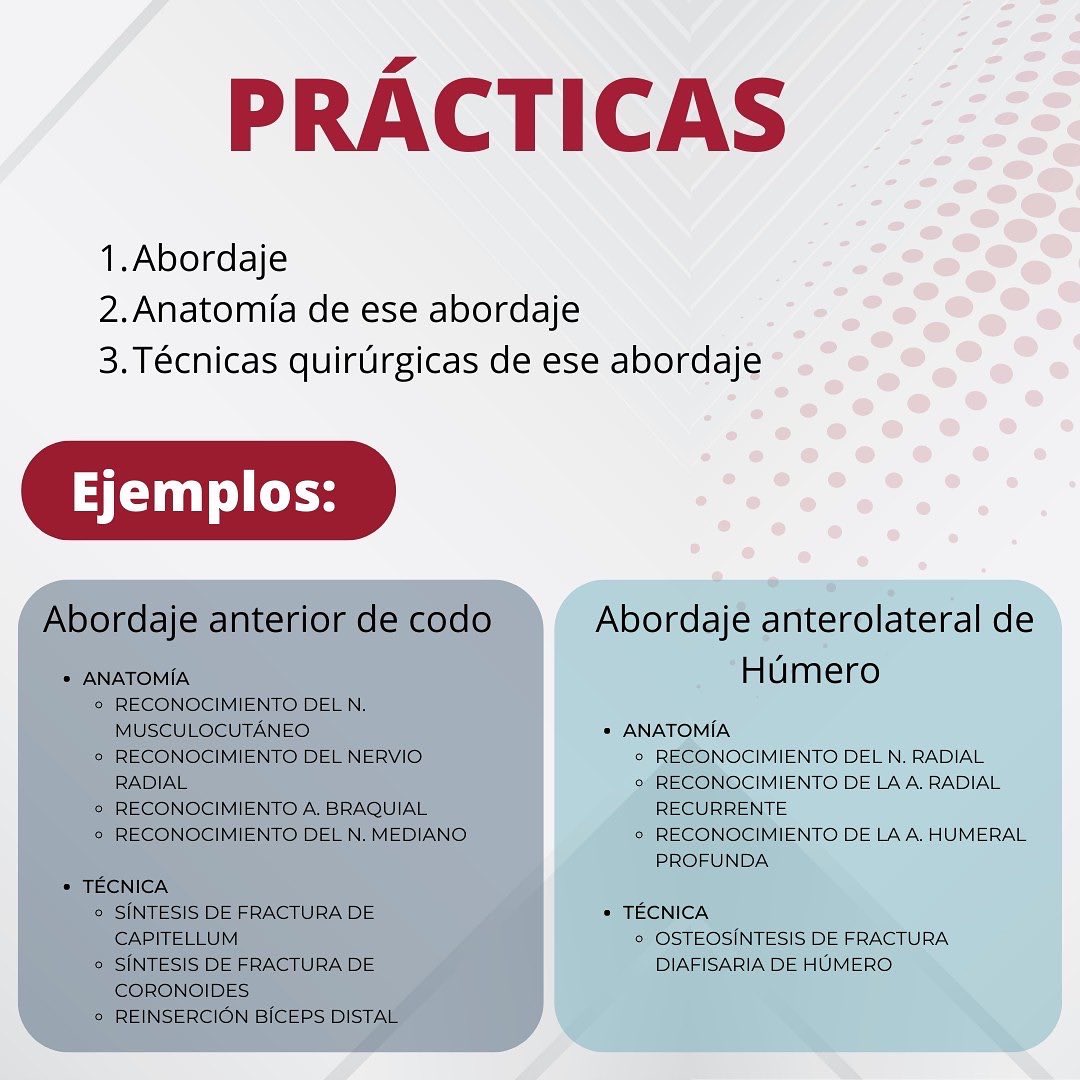 Nuevo Curso PRÁCTICO en cadáver de Cirugía de Extremidad Superior

▪️Abordajes quirúrgicos 
▪️Anatomía de cada abordaje 
▪️Técnicas quirúrgicas (básicas y avanzadas)

Curso 100% práctico!!

📍Facultad de Medicina UAB 

Fechas: 5-6 de noviembre del 2022
ℹ️ cursoicatma@gmail.com