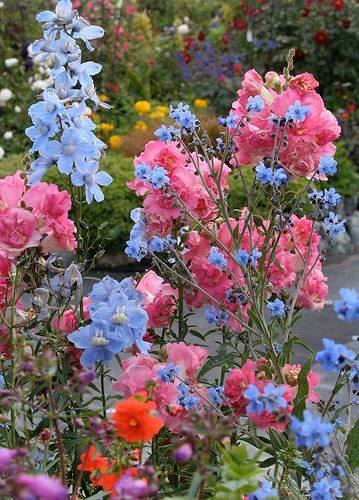 BloomableShop's tweet image. 