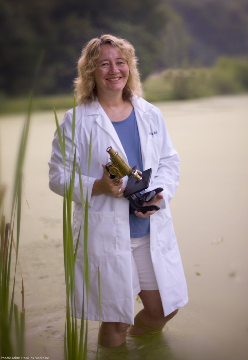 Aged 23, before she’d even earned her PhD, Carol Greider made her #NobelPrize discovery. Along with laureate Elizabeth Blackburn she discovered telomerase. At each end of a chromosome lies a protective "cap" called a telomere – telomerase is the enzyme that creates it.